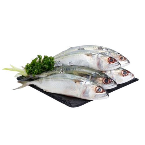 Vựa Hải Sản Tươi Sống Giá Sỉ