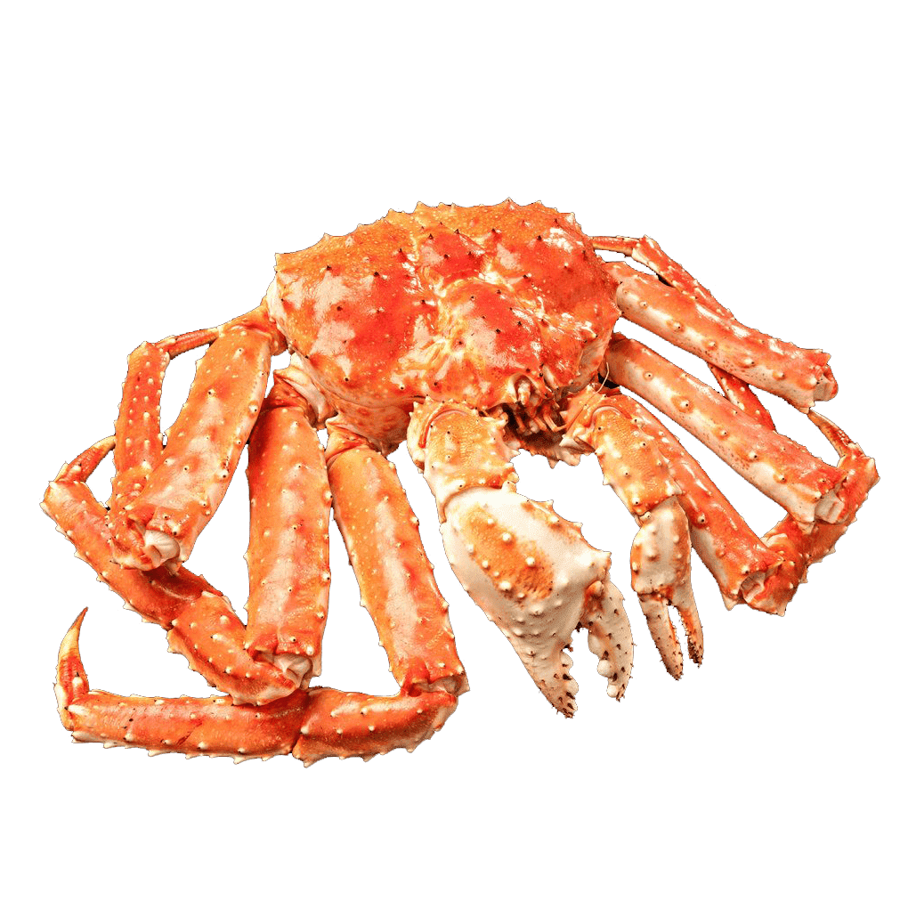 Cua Hoàng Đế Làm Món Gì Ngon? 7 Món Ngon Từ Cua Hoàng Đế Khiến Thực Khách Mê Mẩn