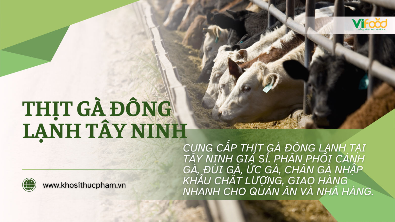 Thịt gà đông lạnh giá sỉ tại Tây Ninh